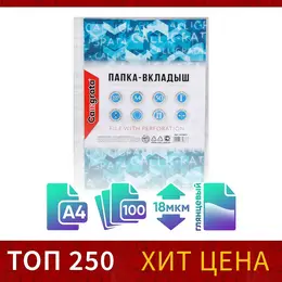 Файл - вкладыш , а4, глянцевый, вертикальный, 100 штук, эконом