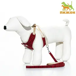 Шлейка с поводком