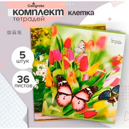 Набор тетрадей 36 листов в клетку,