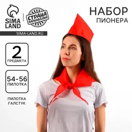 Карнавальный набор