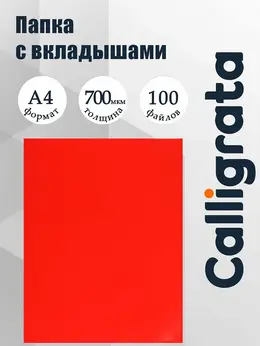 Папка с 100 вкладышами а4, 700 мкм, , текстура