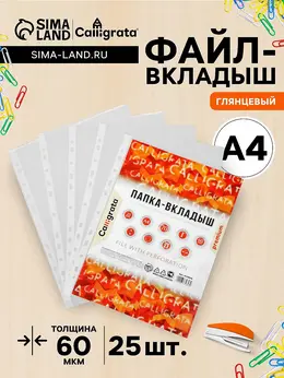 Файл-вкладыш а4, 60 мкм, , плотные, глянцевый, вертикальный, 25 штук