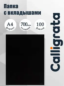 Папка с 100 вкладышами а4, 700 мкм, , текстура