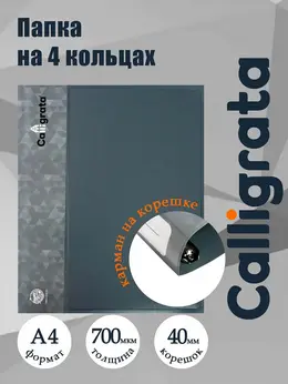 Папка на 4 кольцах а4, , 40 мм, 700 мкм, внутренний карман, карман на корешок, серая