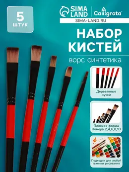 Набор кистей для рисования, нейлон, 5 штук, плоские, прямые, международный размер