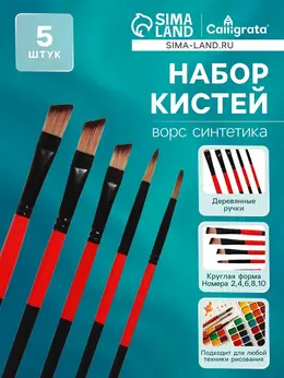 Набор кистей для рисования, нейлон, 5 штук, круглые, плоские, международный размер