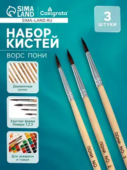 Набор кистей для рисования, пони, 3 штуки: № 1, 2, 3, круглые, деревянная ручка, международный размер Набор кистей для рисования, пони, 3 штуки: № 1, 2, 3, круглые, деревянная ручка, международный размер