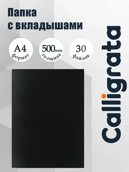 Папка с 30 вкладышами а4, 500 мкм, , текстура