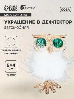 Украшение в дефлектор автомобиля