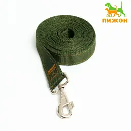 Поводок двухслойный с усиленным карабином, 2 м × 3 см, зеленый Поводок двухслойный с усиленным карабином, 2 м × 3 см, зеленый