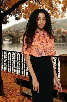 Блузка Блузка