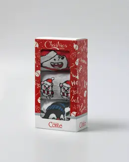 Носки женские CONTE NEW YEAR 3 пары 21С-76СП; 22С-26СП; 23С-46СП