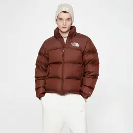 Мужской пуховик The North Face 1996 Retro Nuptse Jacket