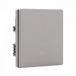 Умный настенный выключатель Xiaomi Ptxzn Smart Switch A6 Gray (одиночный с нулевой линией)