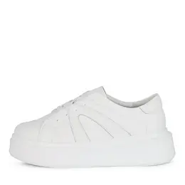 Thomas Munz Thomas Munz