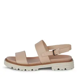 SALAMANDER SALAMANDER