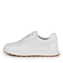 SALAMANDER SALAMANDER