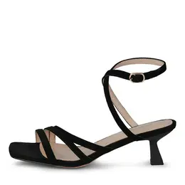 SALAMANDER SALAMANDER