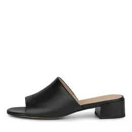 SALAMANDER SALAMANDER