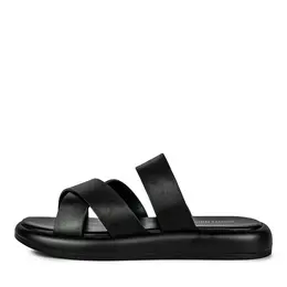 Thomas Munz Thomas Munz