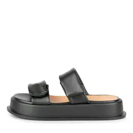 LOLLI|POLLI LOLLI|POLLI