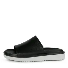 SALAMANDER SALAMANDER