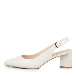 SALAMANDER SALAMANDER