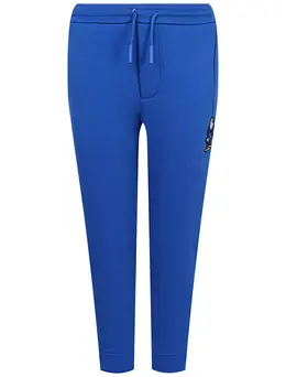 Брюки спортивные EMPORIO ARMANI