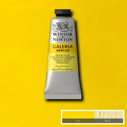 Акрил Winsor&Newton "Galeria" 60 мл Обработанный желтый