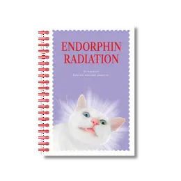 Блокнот "Endorphin radiation" А6 Блокнот "Endorphin radiation" А6