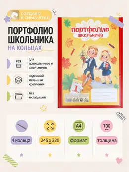 Папка-портфолио а4,