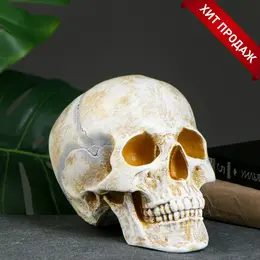 Копилка для денег Копилка для денег