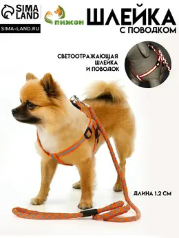 Шлейка с поводком Шлейка с поводком