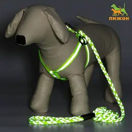 Шлейка с поводком Шлейка с поводком