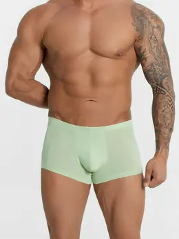 Трусы боксеры мужские салатовые