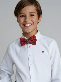 Галстук бабочка Галстук бабочка