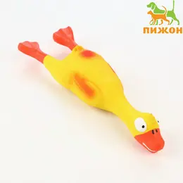 Игрушка для собак
