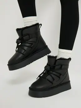 SALAMANDER SALAMANDER