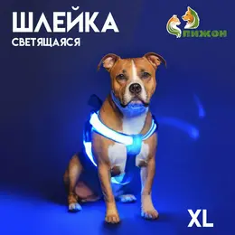 Шлейка светящаяся размер xl, стропа 2,5 см, ог 60-70 см, 3 режима свечения голубая