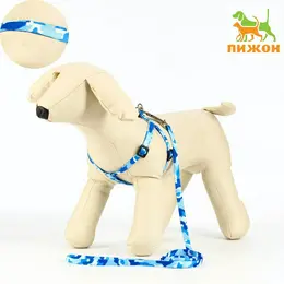 Шлейка с поводком Шлейка с поводком