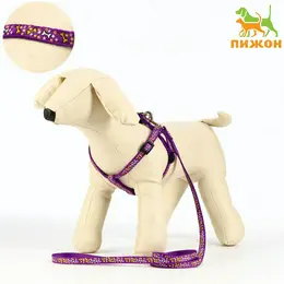 Шлейка с поводком Шлейка с поводком