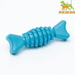 Жевательная игрушка для собак