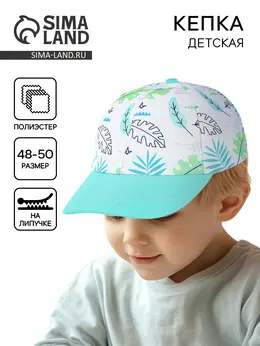 Кепка Кепка
