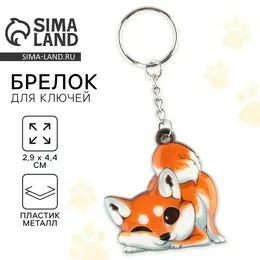 Брелок для ключей Брелок для ключей
