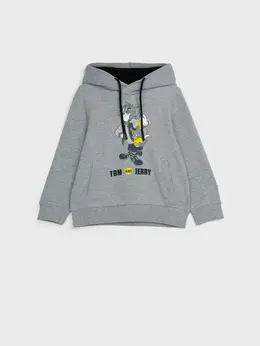 Толстовка трикотажная