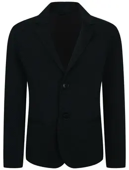 Пиджак EMPORIO ARMANI Пиджак EMPORIO ARMANI