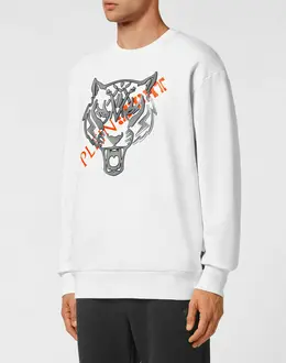 Толстовка Plein Sport