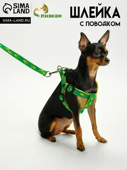 Шлейка с поводком Шлейка с поводком