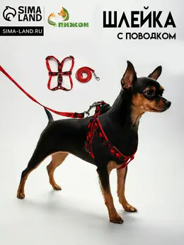 Шлейка с поводком Шлейка с поводком