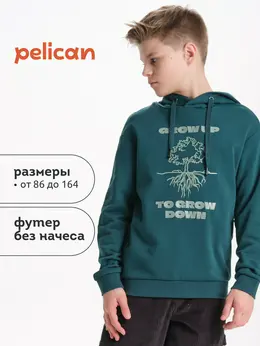 Толстовка Толстовка